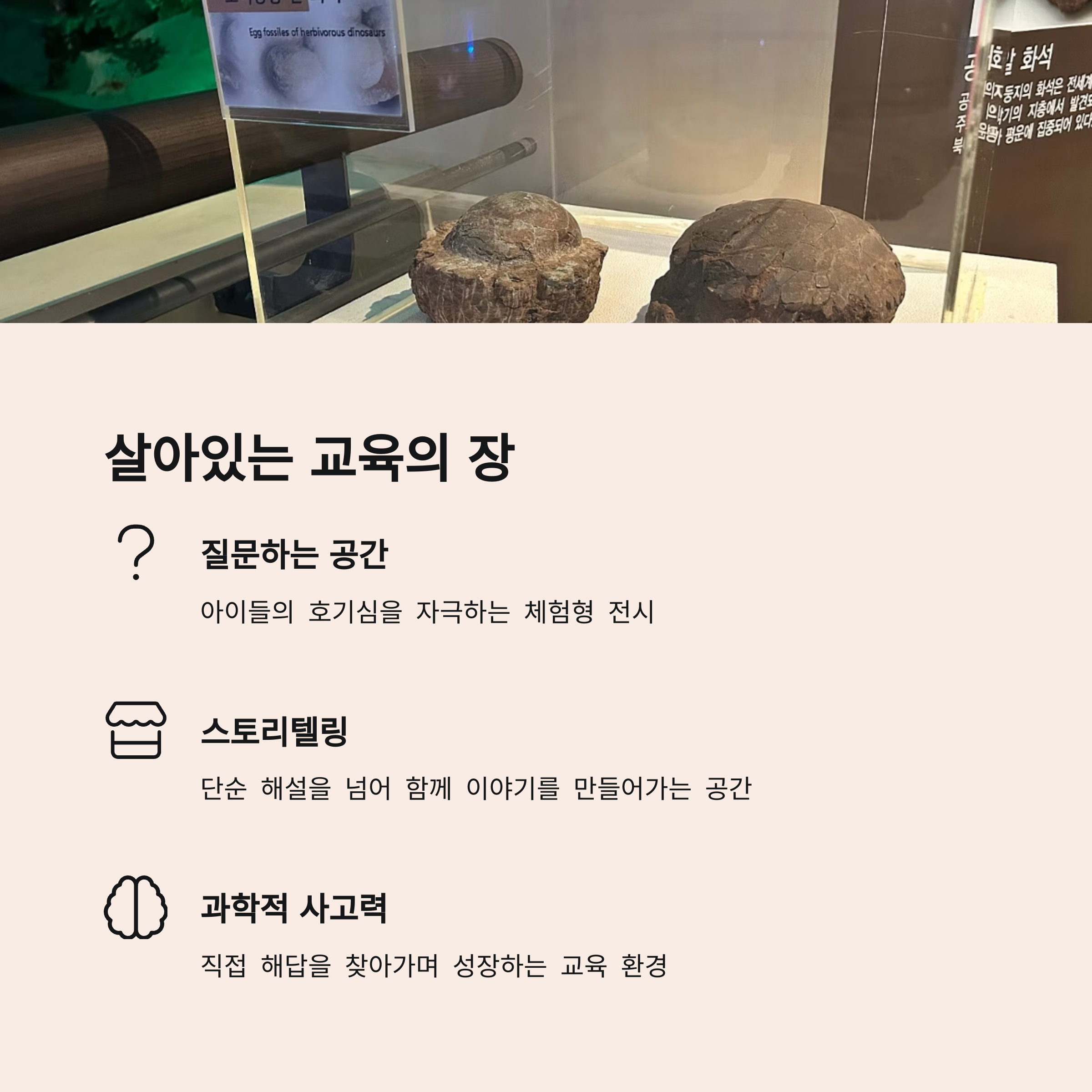 살아있는 교육의 장