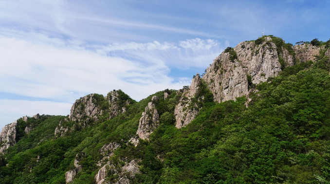 전라도 봄 여행지 4곳과 근처 맛집 추천