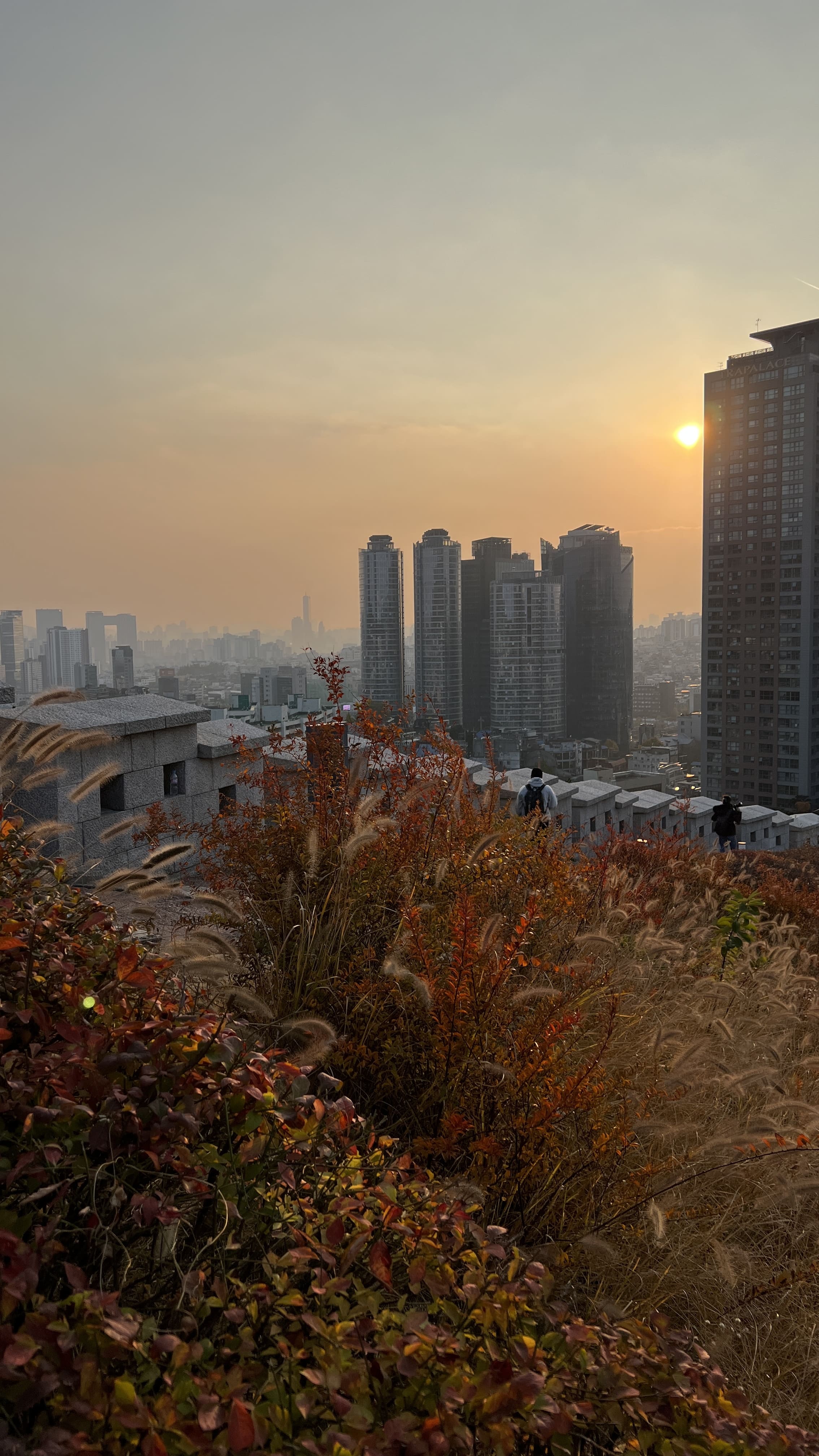 가을 남산공원 백범광장 산책