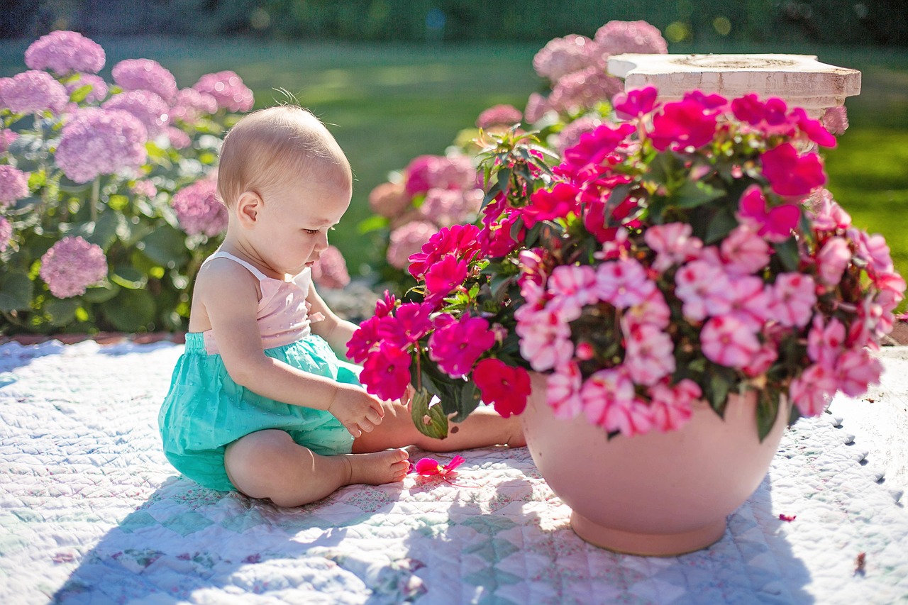 아기랑 벚꽃 사진