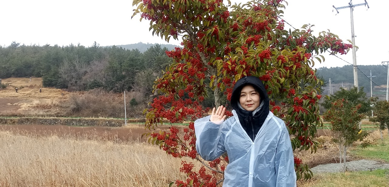 청산도 슬로길