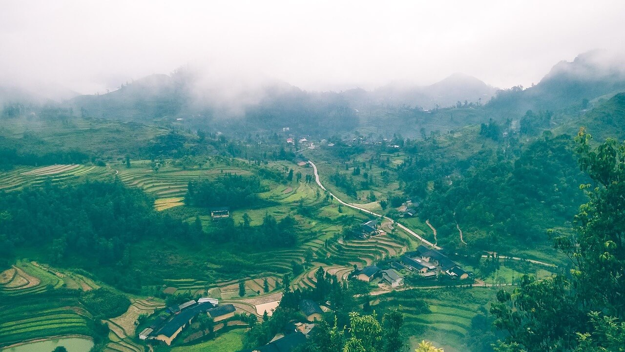 수직농장 드론 – 수확, 점검, 병충해 모니터링