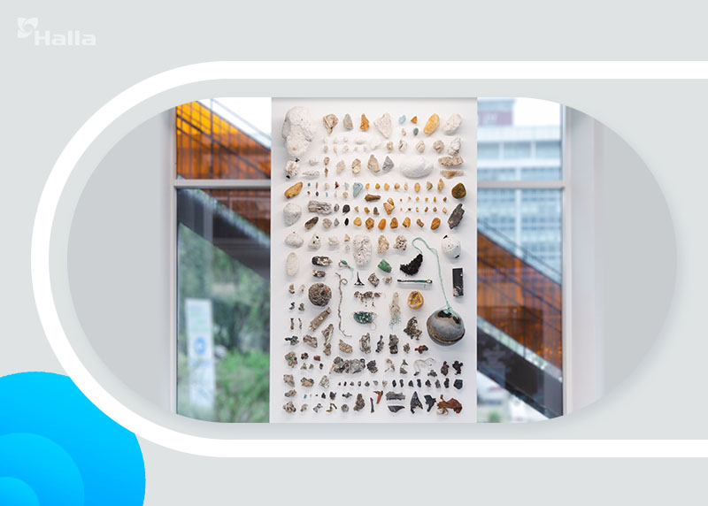 단순 풍화작용으로 만들어진 뉴락부터 생물의 터전이 된 뉴락 등 다양한 <뉴락 표본>