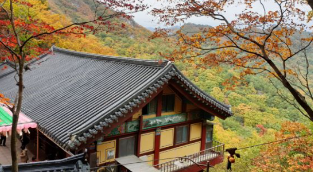2025 팔공산 단풍 절정 시기 공개! 초보자도 즐기는 가을 등산코스 BEST