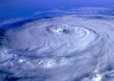 13호 가지키와 14호 넝파 비교