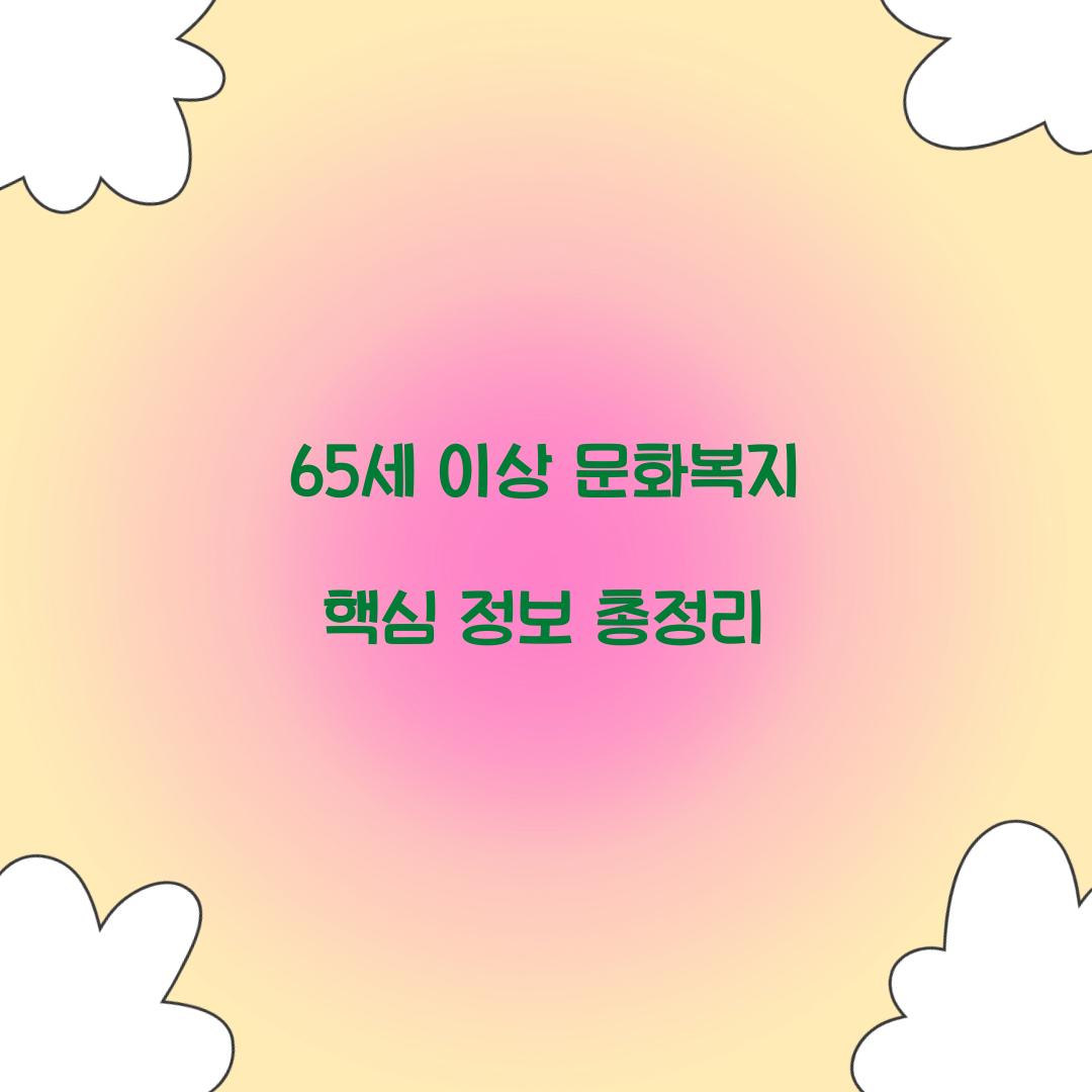 65세 이상 문화복지