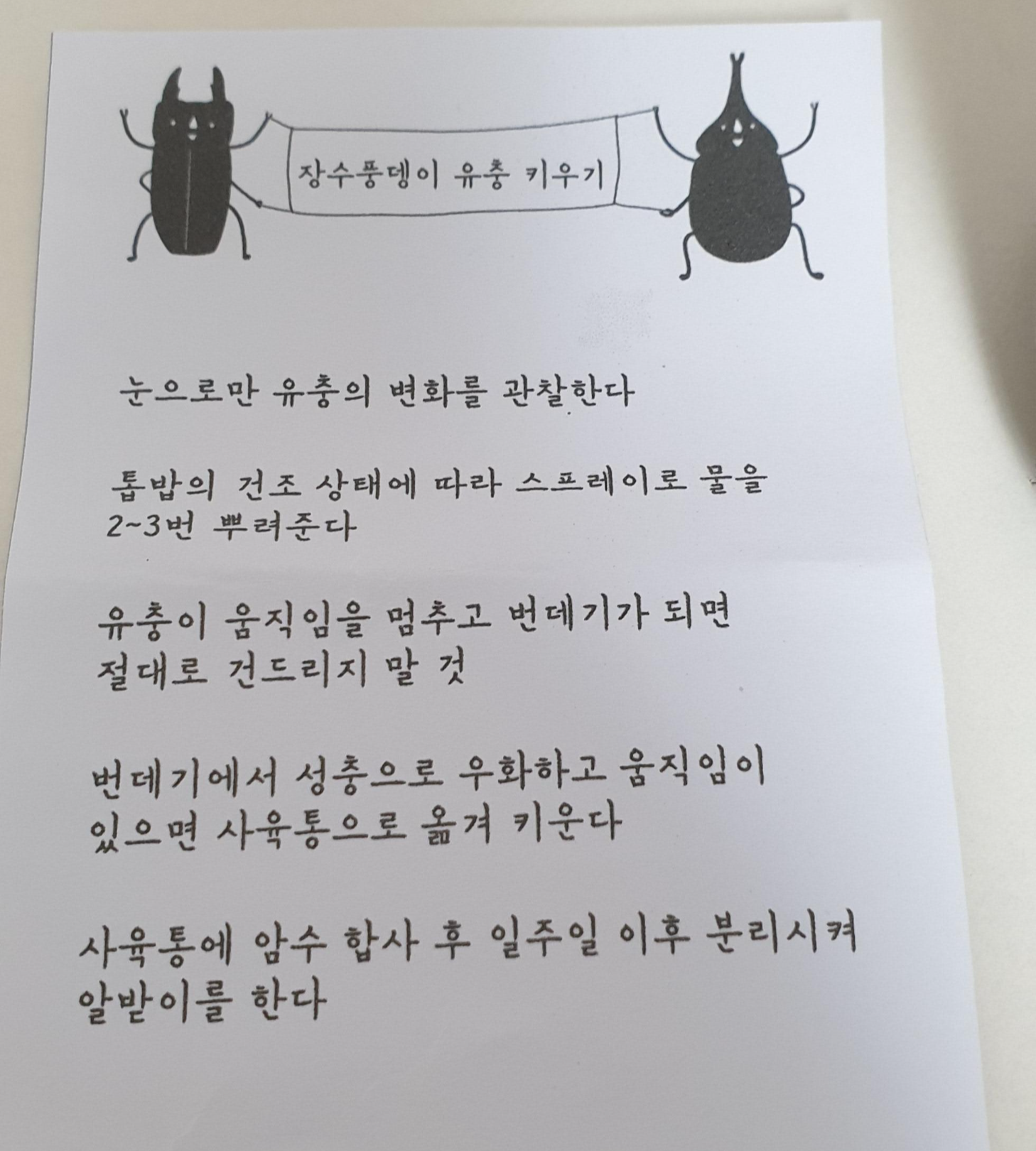 장수풍뎅이애벌레키우기-주의사항