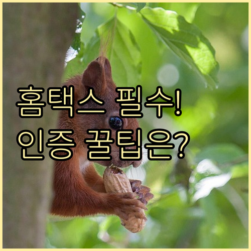 홈택스 통합 인증 시스템의 종류와 접..