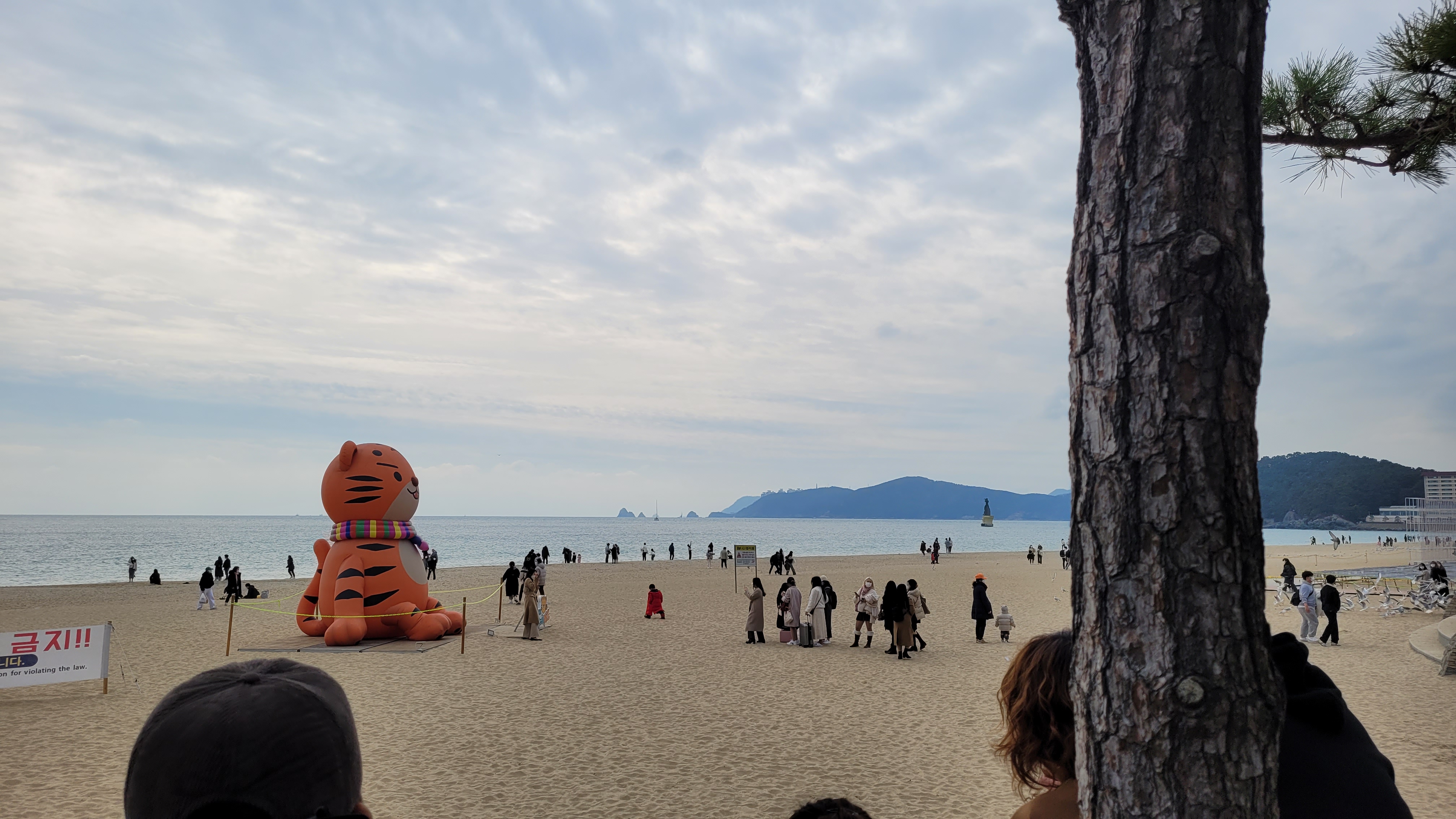 해운대 해수욕장 전경