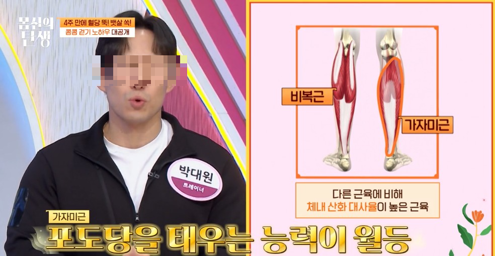 콩콩걷기에 쓰이는 가자미근육