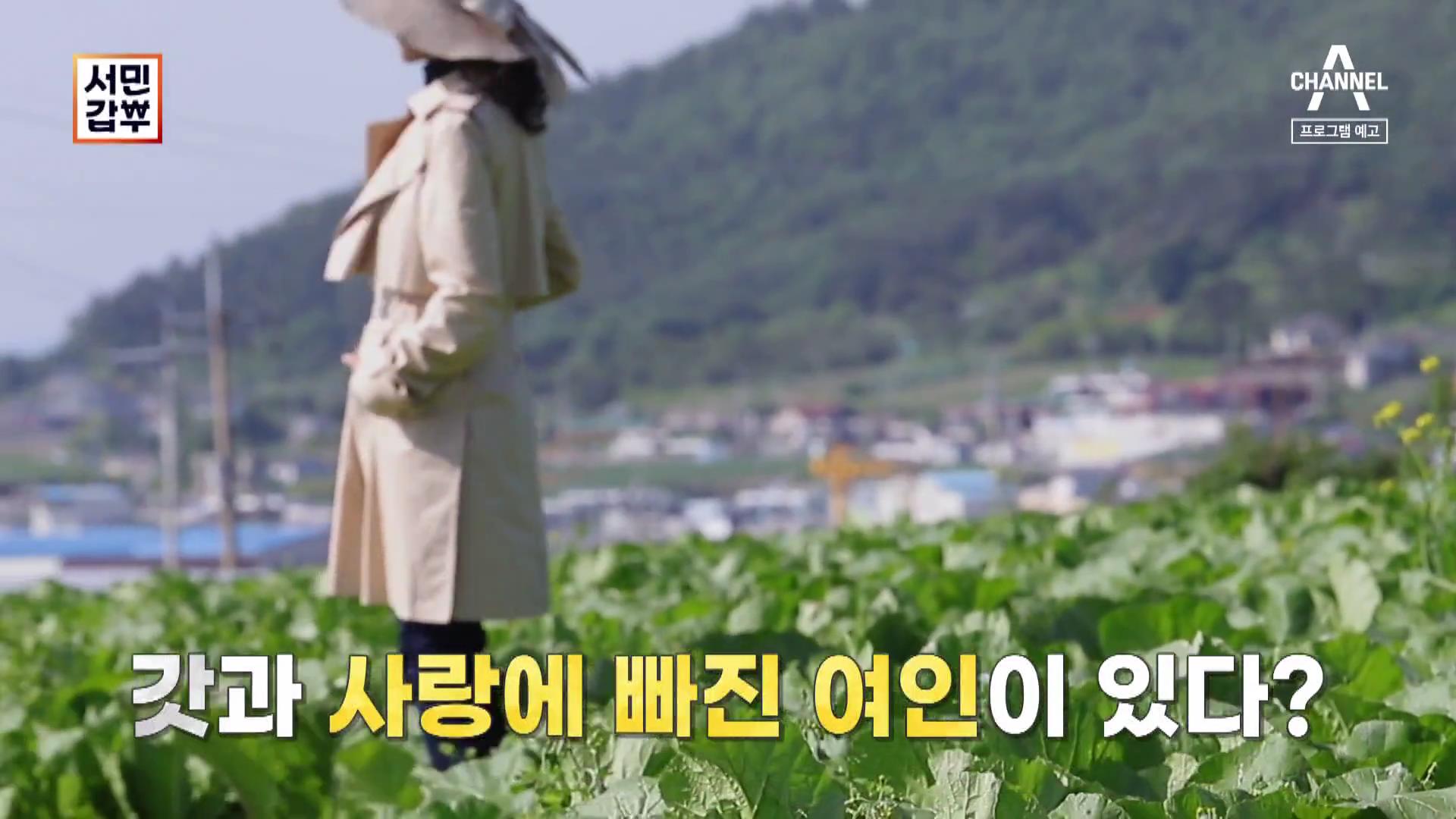 서민갑부 여수 돌산 갓김치 전국 택배 주문 방법