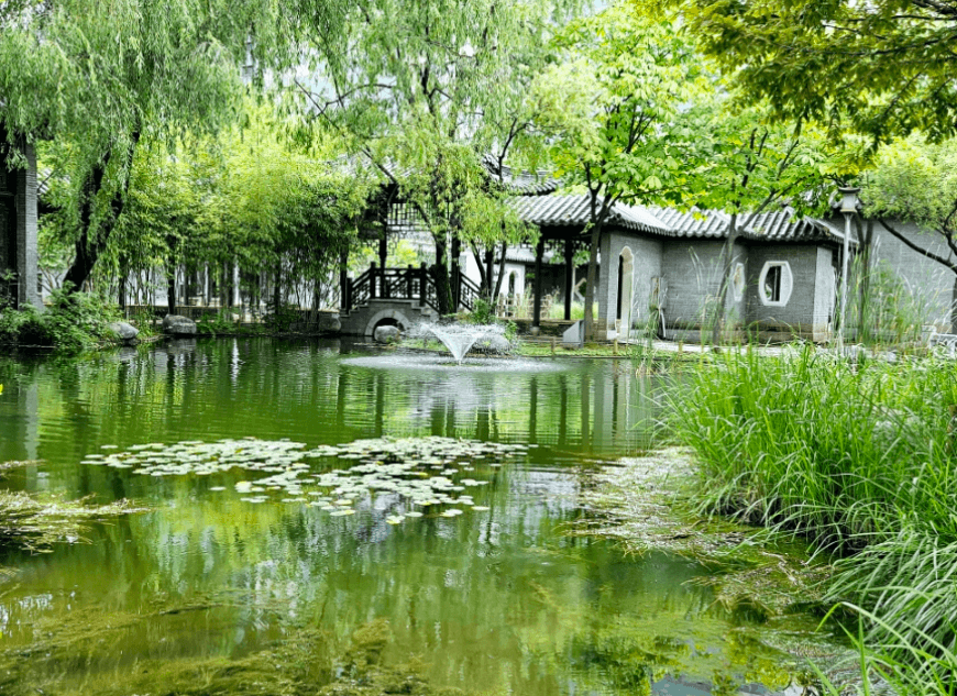 수원-월화원