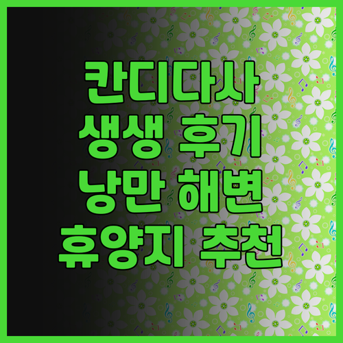 라마나야 칸디다사 생생 후기 칸디다사..