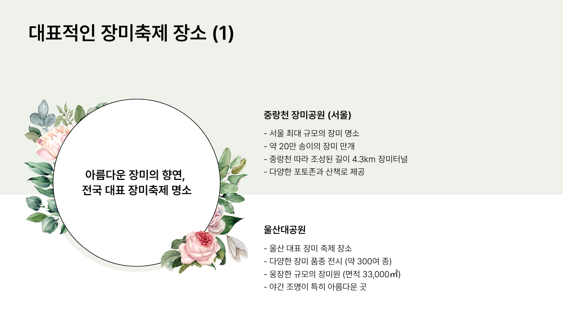 2025 장미축제 일정과 주요 행사 총정리