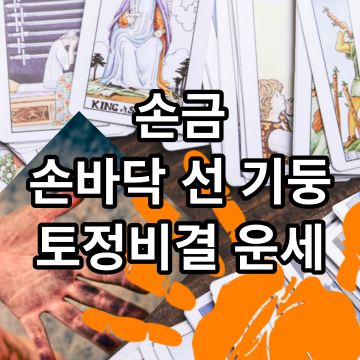 손금술: 손의 신비 밝혀내다