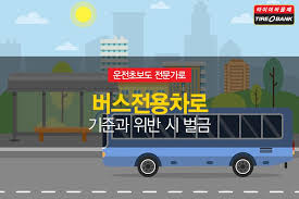 버스전용차로 벌금 시간대 카니발 주행 가능 여부 총정리