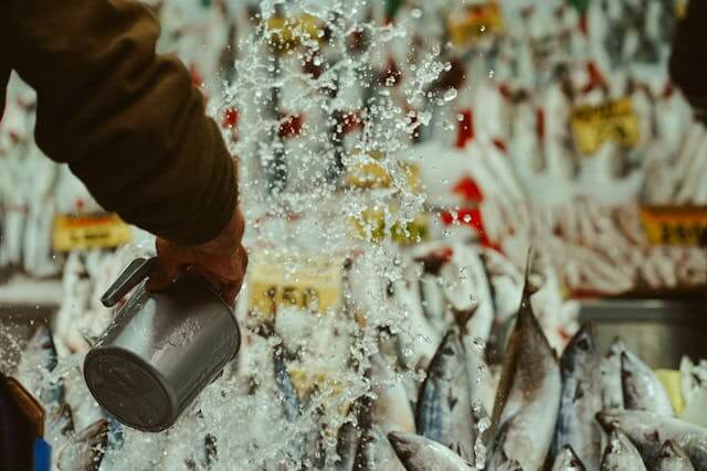 2025 생계급여 신청 방법과 조건