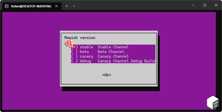 Magisk version 선택