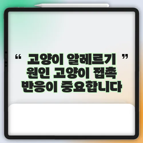 고양이 알레르기 원인 고양이 접촉 반응이 중요합니다