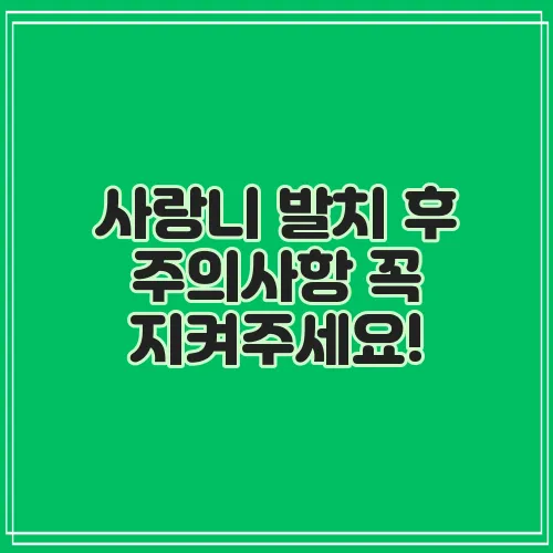 사랑니 발치 후 주의사항 꼭 지켜주세요!