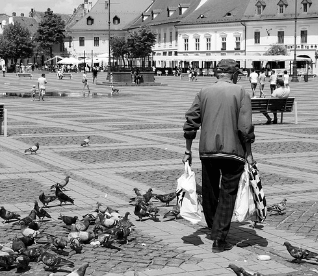 중장년내일센터
