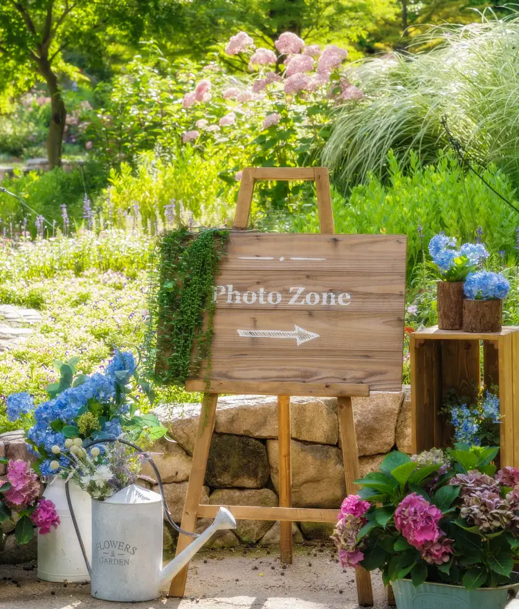 추억의 정원 - 전통 담장길 - 색채원