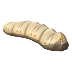 애벌레