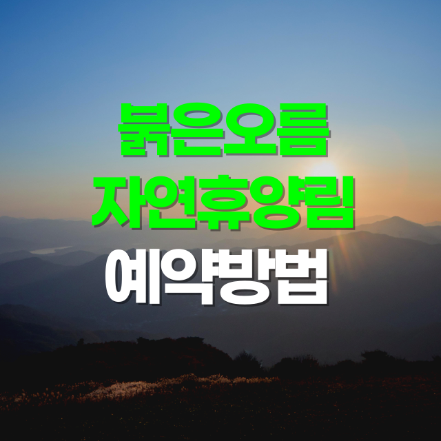 붉은오름자연휴양림 예약과 맛집 정리