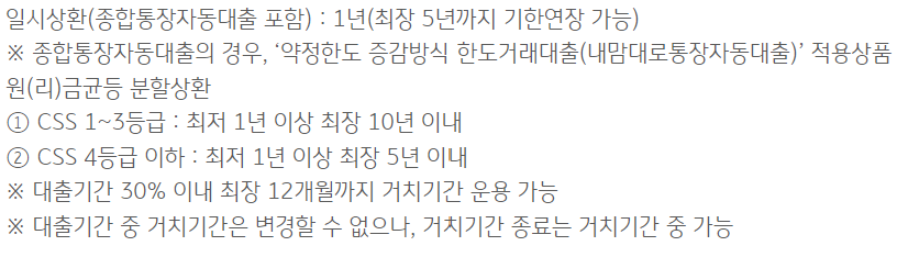 국민은행 주부대출