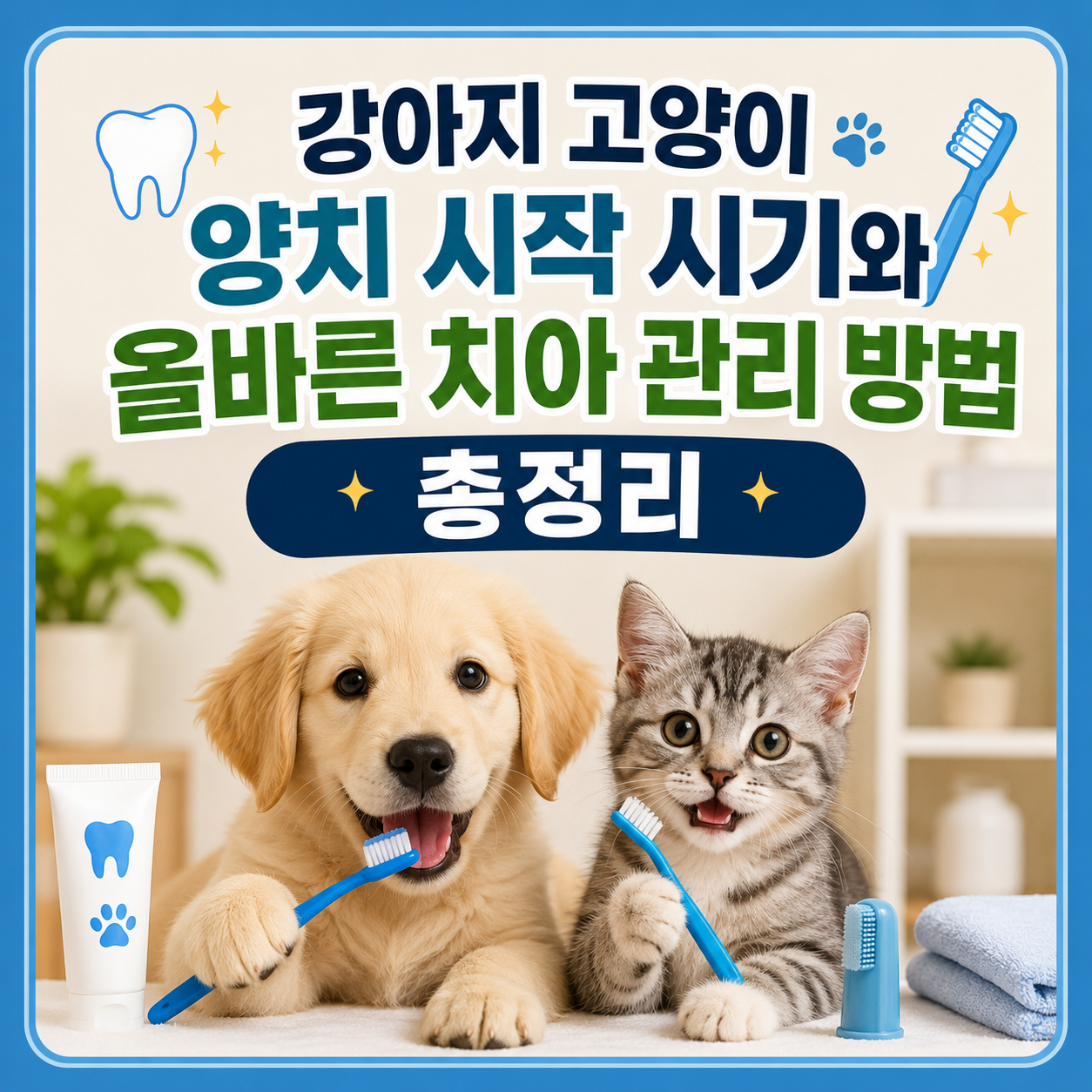 강아지 고양이 양치