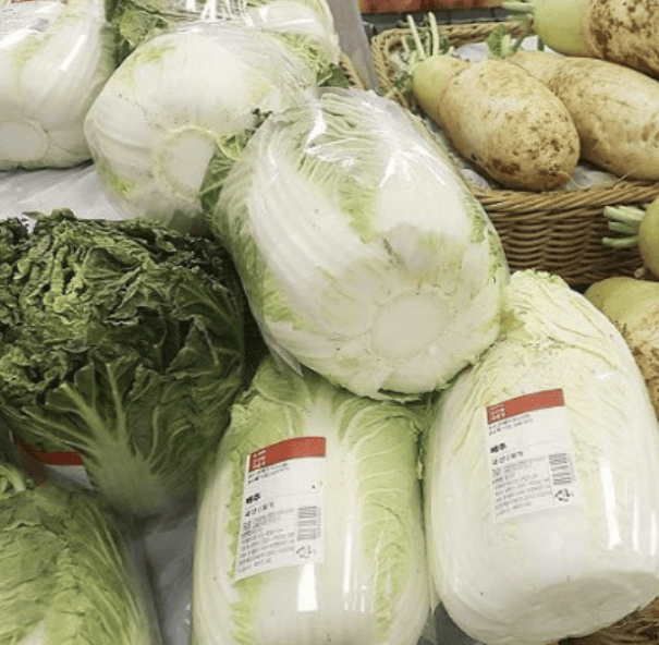 배추 전량 방출