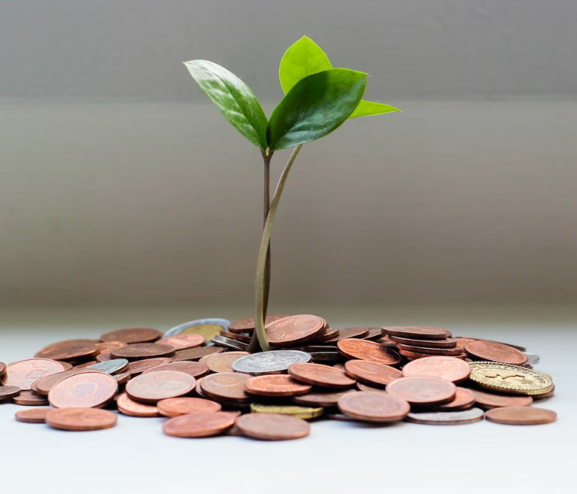 근로장려금 나무