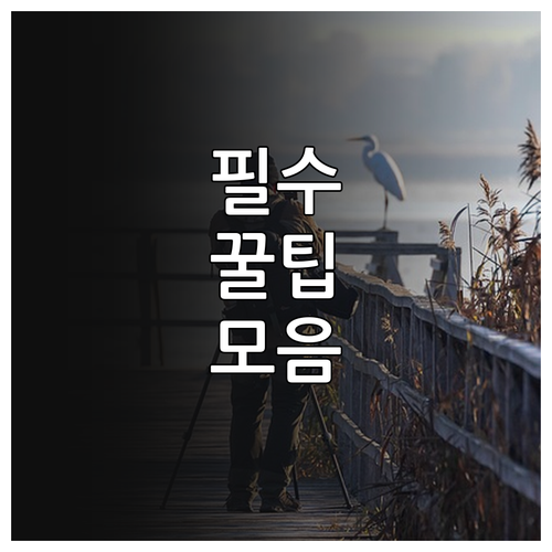 중고대생 필독 2025 태백시 장학금..