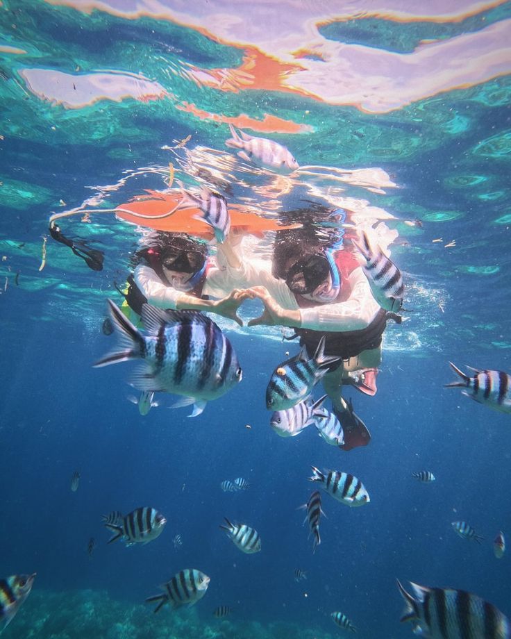 코타키나발루 항공권 예매