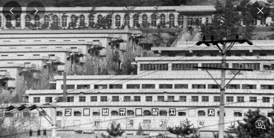 '꼬꼬무'로 다시 보는 형제복지원 사건 관련 이미지