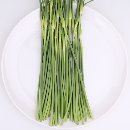 마늘종 효능과 부작용