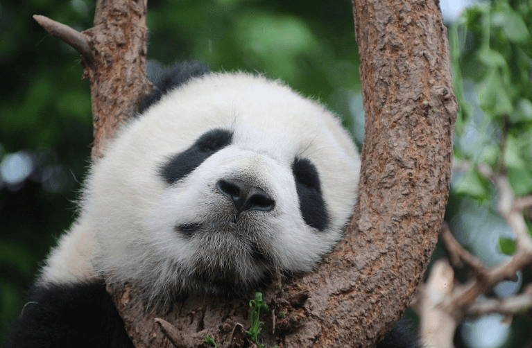 3박 4일 일정으로 가족이 함께 즐길 수 있는 중국 여행지 추천