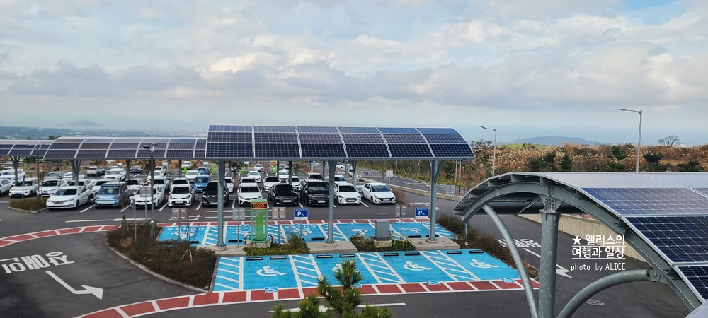 제주 981파크 할인예약 방법 레이싱 카트 실내 액티비티 체험 데이트 코스 추천 가족여행코스