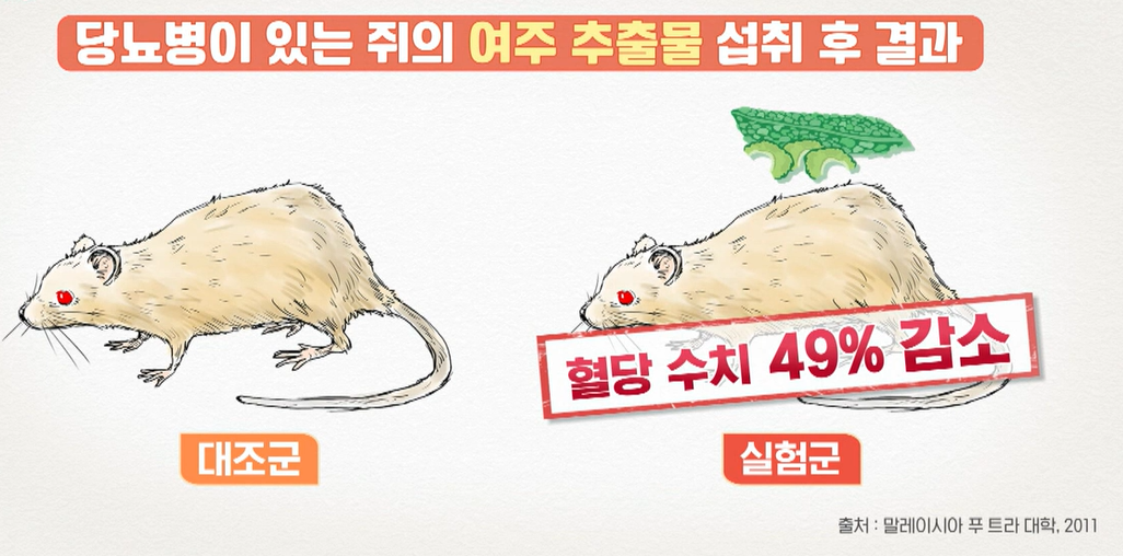 여주 효능
