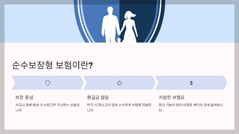 순수보장형 보험