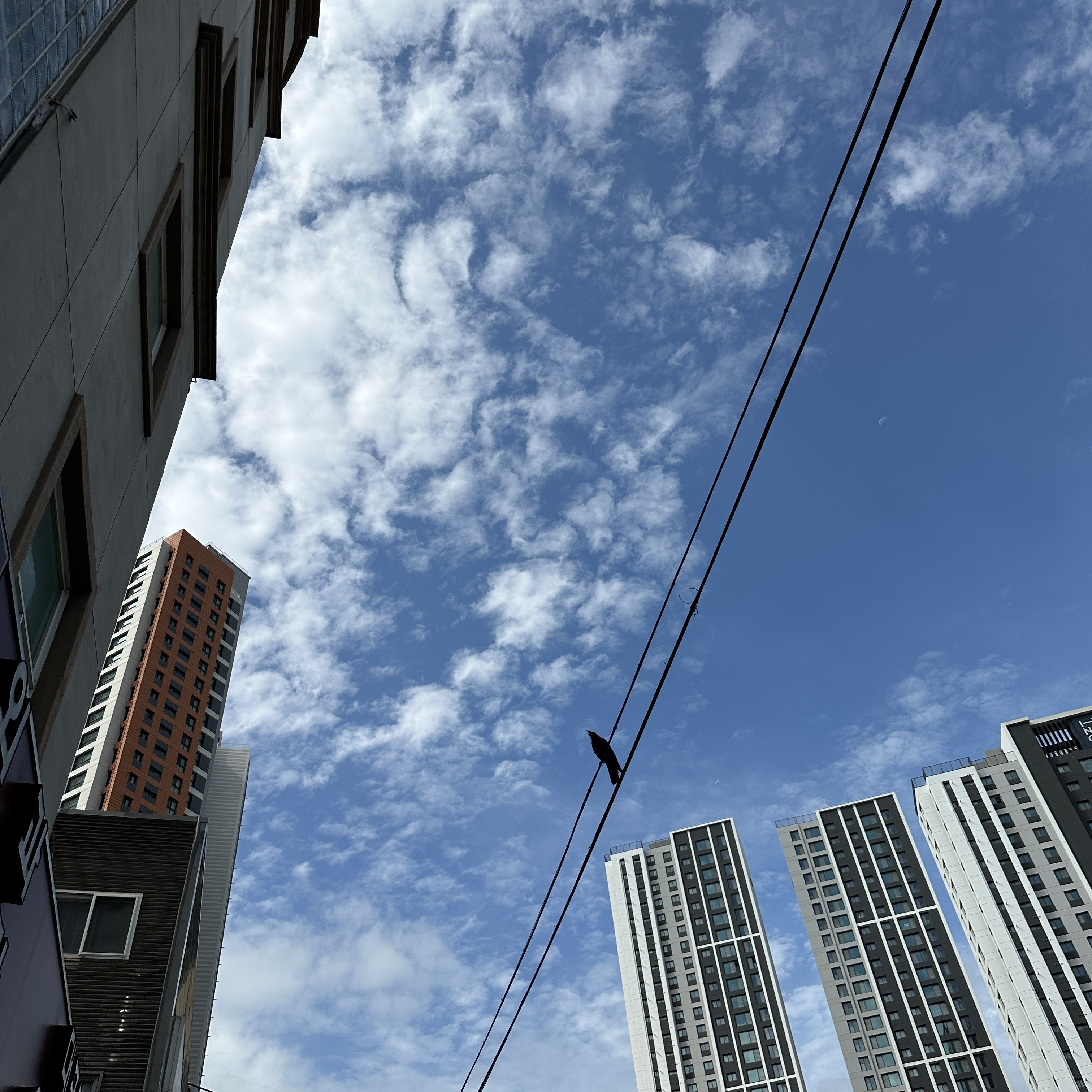 9월15일날씨정보