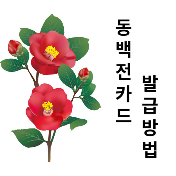 동백전 카드 발급