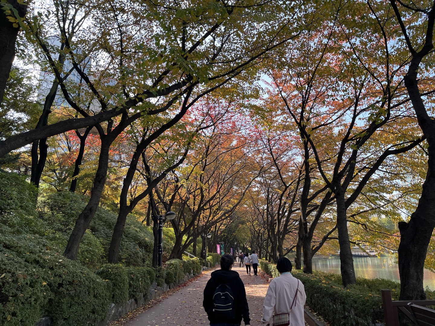 석촌호수