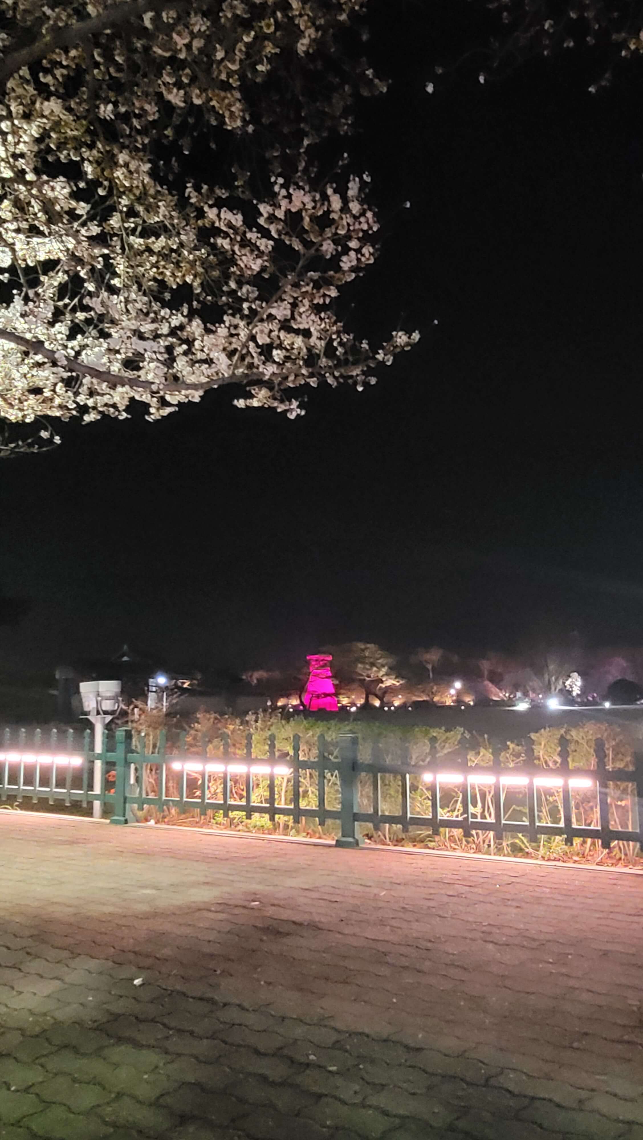 첨성대-사진