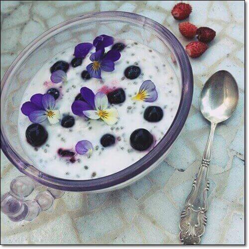 치아시드 먹는 법