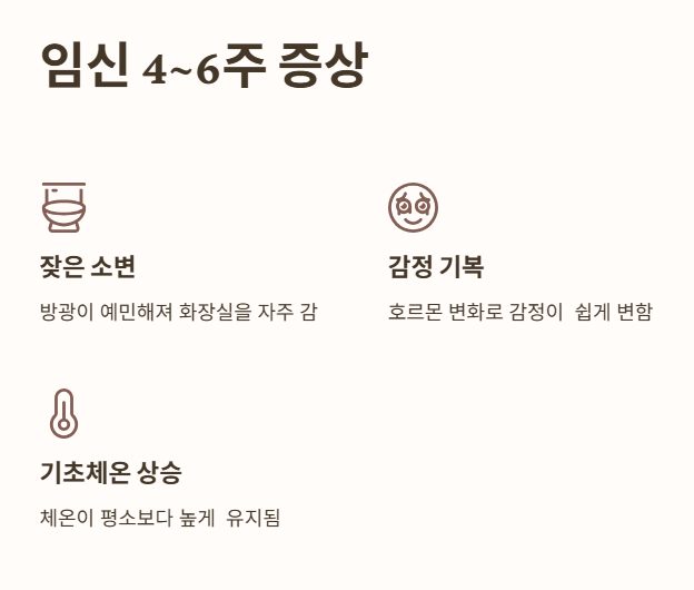 임신초기증상: 임신 4~6주 (생리가 멈춘 이후)