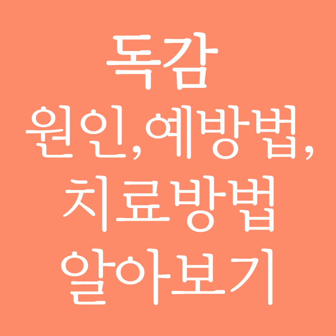 독감 원인 및 예방법, 치료방법 알아보기