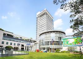 도봉구, 출범 50주년 기념 도봉사랑 상품권 발행 문제점...