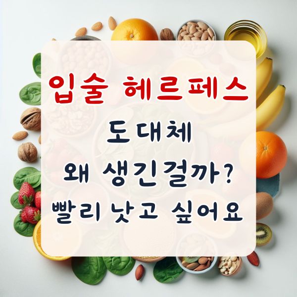 헤르페스 입술 포진 수포 물집 빨리 낫는법
