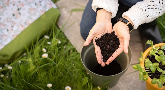 전원생활의 장점. 사진